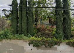  Solano Ave, Los Angeles CA