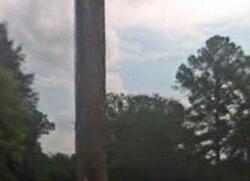 Pre-foreclosure in  COMER AVE Pell City, AL 35125