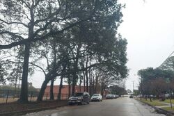 Pre-foreclosure in  OXFORD ST Norfolk, VA 23505