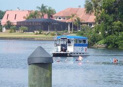 Pre-foreclosure in  S SCHOOL AVE Lecanto, FL 34461