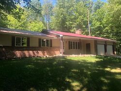 Pre-foreclosure Listing in SHAWNEE TRL STANWOOD, MI 49346