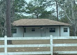 Pre-foreclosure in  S EVERGREEN AVE Homosassa, FL 34446