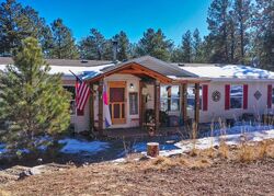 Pre-foreclosure in  BLUE MOUNTAIN DR Florissant, CO 80816