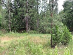 Grizzly Flat Rd, Grizzly Flats CA
