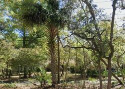  Hensel Rd, Port Orange FL