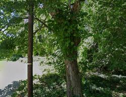 Pre-foreclosure in  STATE ST Youngstown, OH 44506