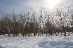 Pre-foreclosure in  88TH AVE Pleasant Prairie, WI 53158