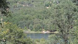 Pre-foreclosure in  DRY CREEK LN Grass Valley, CA 95949