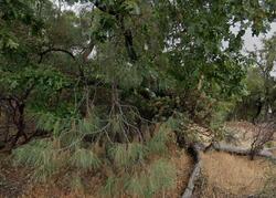 Pre-foreclosure in  OVERLAND TRL Sonora, CA 95370