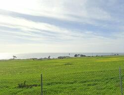 Pre-foreclosure in  TRANCAS CANYON RD Malibu, CA 90265