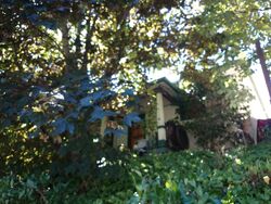 Pre-foreclosure in  11TH AVE NE Seattle, WA 98105