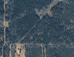 Pre-foreclosure in  REDBUD DR Harleton, TX 75651