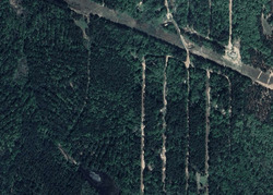 Pre-foreclosure in  SEQUOIA DR Harleton, TX 75651