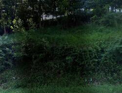  Edwards Rdg, Clinchco VA