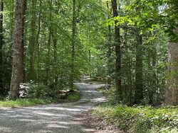 Pre-foreclosure in  KING RD Doswell, VA 23047