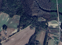 Pre-foreclosure in  OLD SPRING RD Lake City, SC 29560