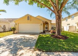  Clayridge Dr, Tampa FL