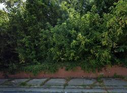  Pershing St, High Point NC