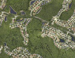  Halkirk Ct, Palm Harbor FL