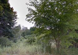 Pre-foreclosure in  FRISBY AVE Barberton, OH 44203