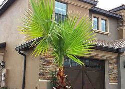 Pre-foreclosure in  AZALEA SANDS LN Davenport, FL 33896