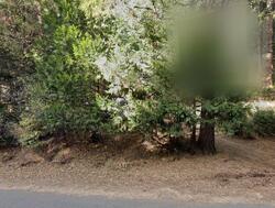 Pre-foreclosure in  AMBER TRL Pollock Pines, CA 95726