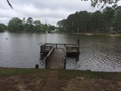 Pre-foreclosure in  CAMELLIA CIR Florence, MS 39073