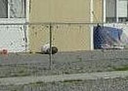 Pre-foreclosure in  FALLWOOD ST Pahrump, NV 89048