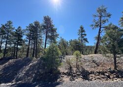 Pre-foreclosure in  REDWALL WAY Williams, AZ 86046