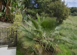 Pre-foreclosure in  HUTTON DR Beverly Hills, CA 90210