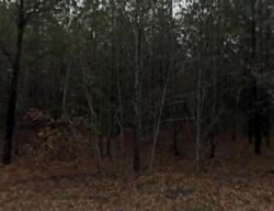 Pre-foreclosure in  MUSTERFIELD RD Jackson, SC 29831