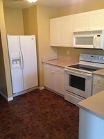 Pre-foreclosure in  LOST RIVER DR Blacklick, OH 43004