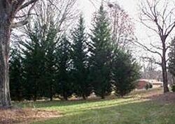  3rd St Ne, Conover NC