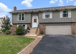 Pre-foreclosure in  W MATHEWS DR Frankfort, IL 60423