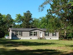 Pre-foreclosure Listing in BURKHALTER CIR CLAXTON, GA 30417