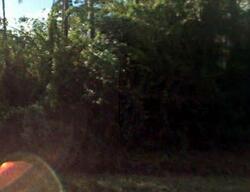 Pre-foreclosure in  154TH RD N Jupiter, FL 33478