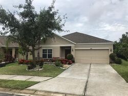 Pre-foreclosure in  91ST AVE E Parrish, FL 34219