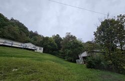  Dogwalk Rd, Afton TN