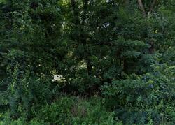 Pre-foreclosure in  ROUTE 292 Holmes, NY 12531