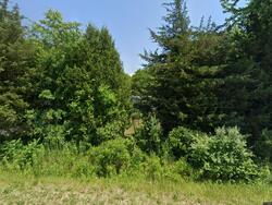 Pre-foreclosure in  57TH ST Fennville, MI 49408
