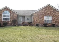 Pre-foreclosure Listing in CARDENE WAY NORTHVILLE, MI 48167