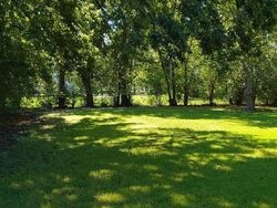 Pre-foreclosure in  SCHURMIER RD Houston, TX 77048