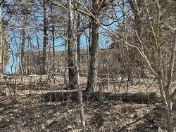  Old Echo Valley Ln, Villa Ridge MO