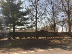 Pre-foreclosure in  E US HIGHWAY 40 Troy, IL 62294