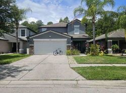 Pre-foreclosure in  WHITLEY BAY CT Land O Lakes, FL 34638