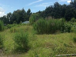 Pre-foreclosure in  COUNTRY TRAILS DR Polk City, FL 33868