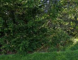  Highland Ave, Youngstown OH