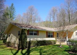 Pre-foreclosure in  BRITTAIN TRCE Andrews, NC 28901