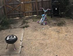Pre-foreclosure in  RAMSAY ST Baltimore, MD 21223