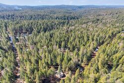Pre-foreclosure in  VOLCANOVILLE RD Georgetown, CA 95634